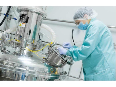 Stonehouse Process Safety