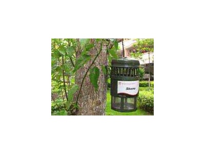 Environmentally friendly mosquito trap 